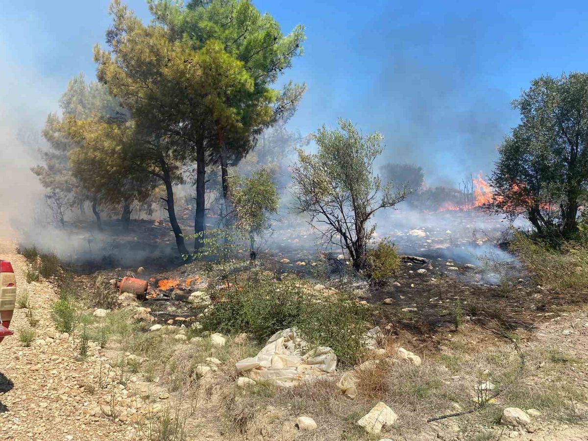 Serik'te Zirai Alanda Yangın: 1 Dönüm Zarar