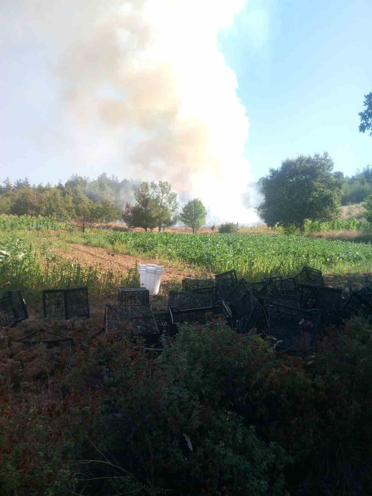 Kestel'de Orman Yangınına Havadan ve Karadan Müdahale