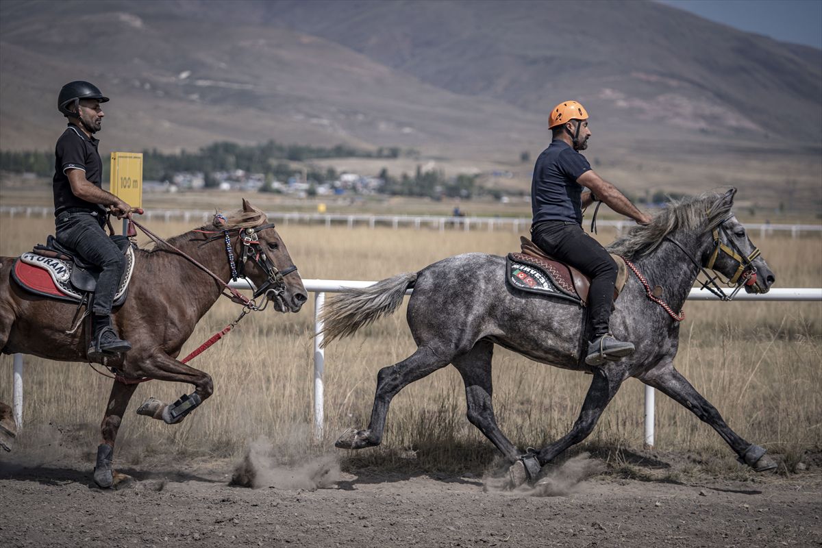 Erzurum'da Rahvan At Yarışları Heyecanı