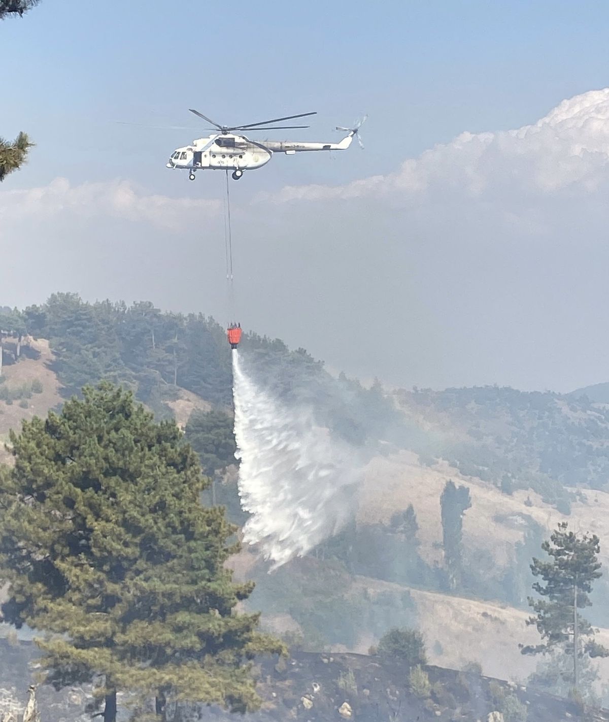 Kahramanmaraş'ta Orman Yangını: 70 Personel Müdahale Ediyor