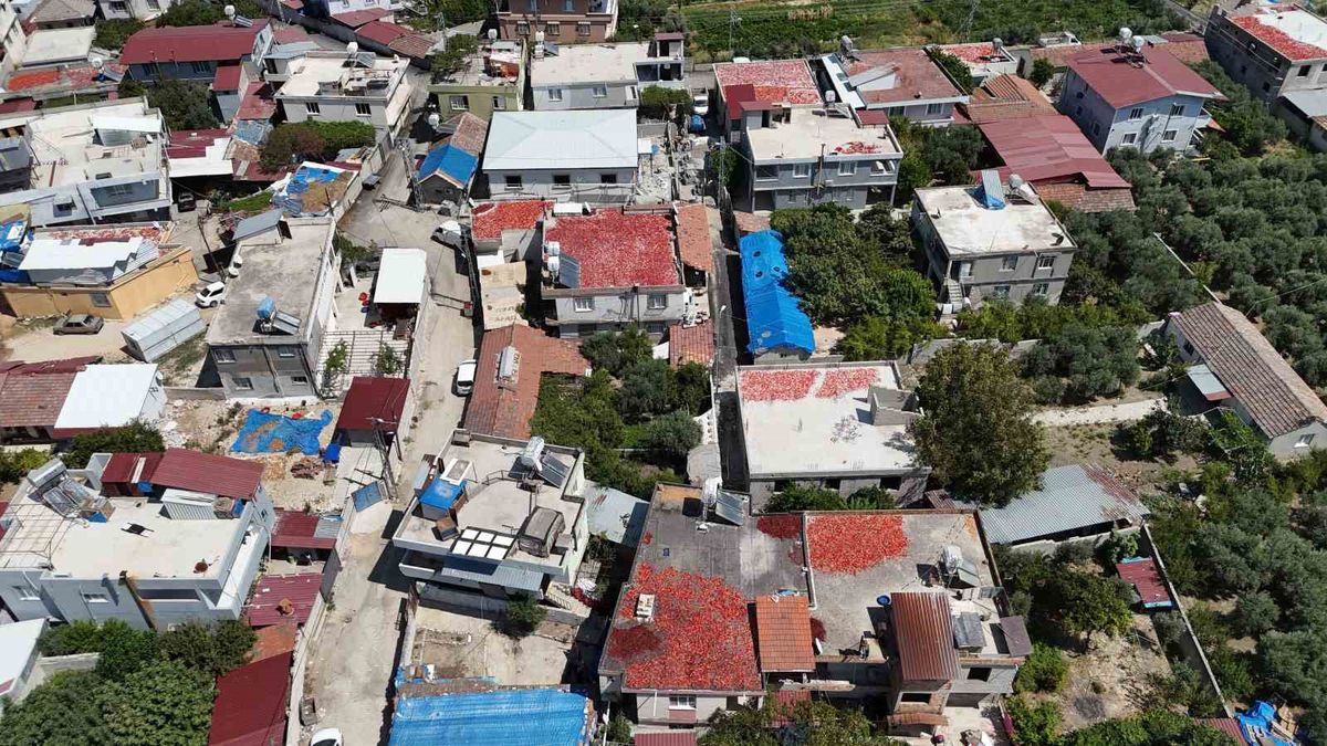 Hatay'da kadınların salçalık biber mesaisi