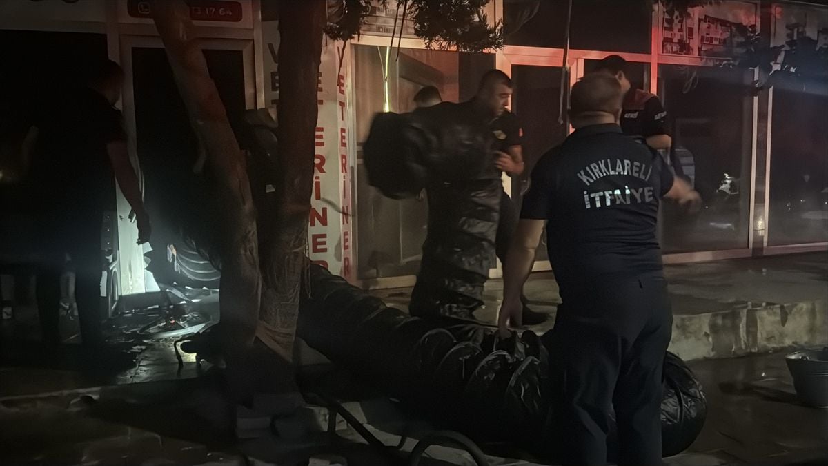 Kırklareli'nde Veteriner Kliniğinde Yangın: Hayvanlar Kurtarıldı