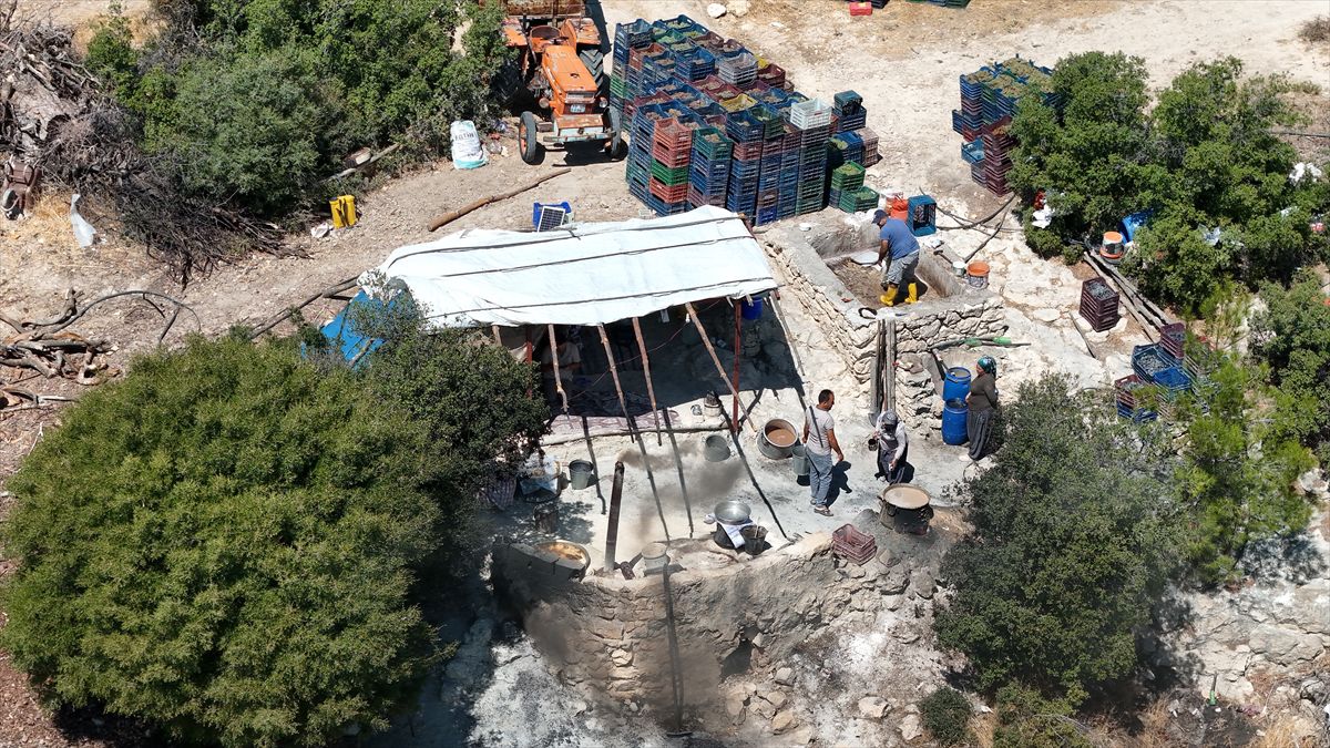 Mut'ta Geleneksel Pekmez Mesaisi