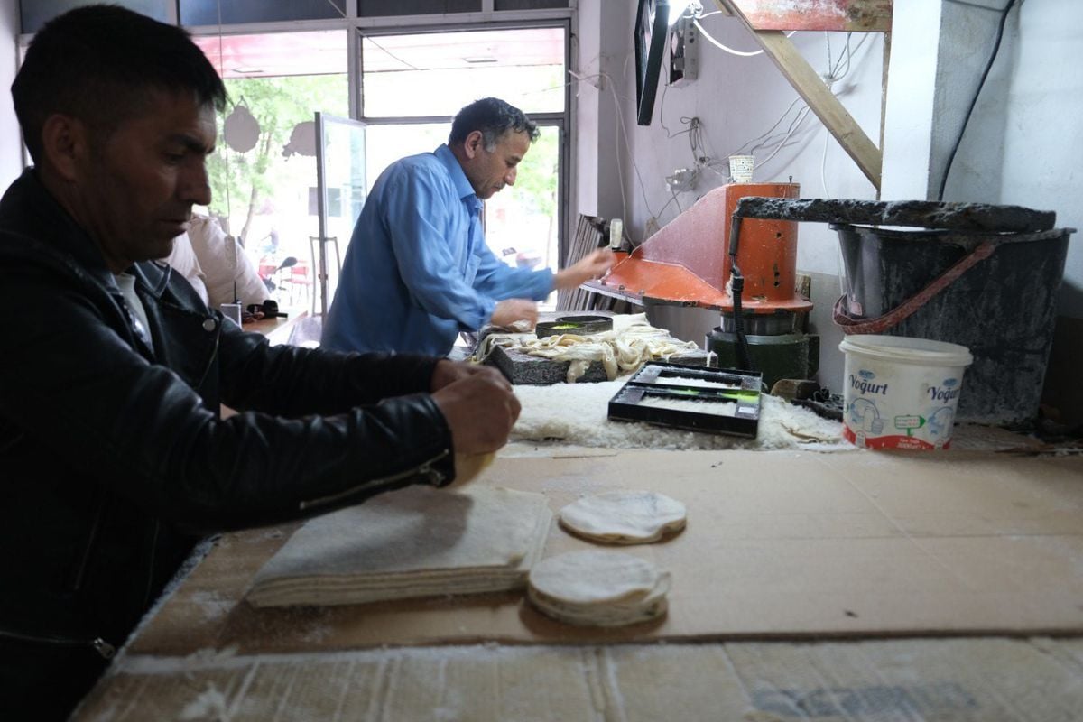 Erzincan'da Norveç Derilerinden Geleneksel Tulum Peyniri Üretimi