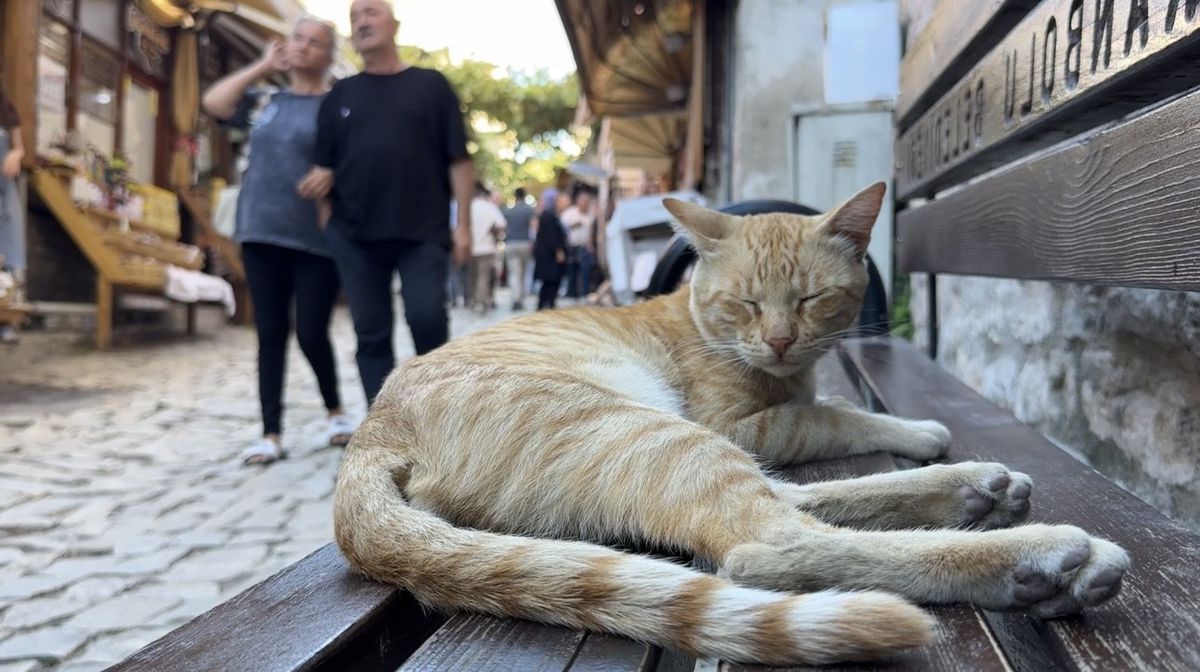 Safranbolu Hafta Sonu Turist Akınına Uğradı
