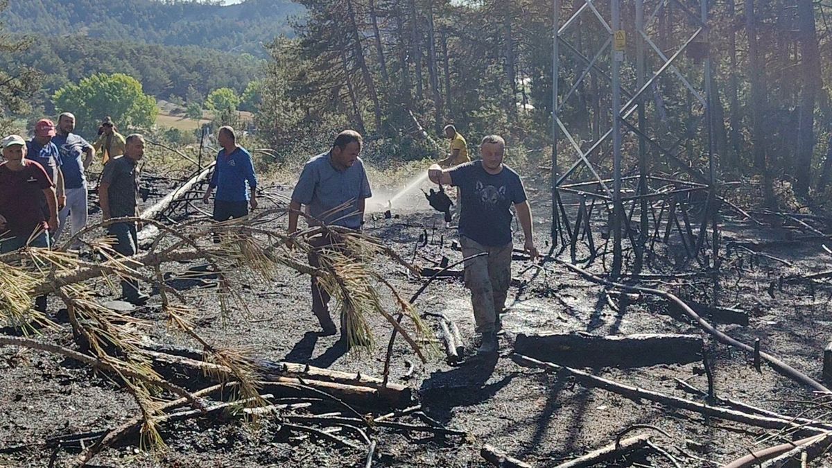 Bolu'da Yüksek Gerilim Hattındaki Kuş Yangına Neden Oldu