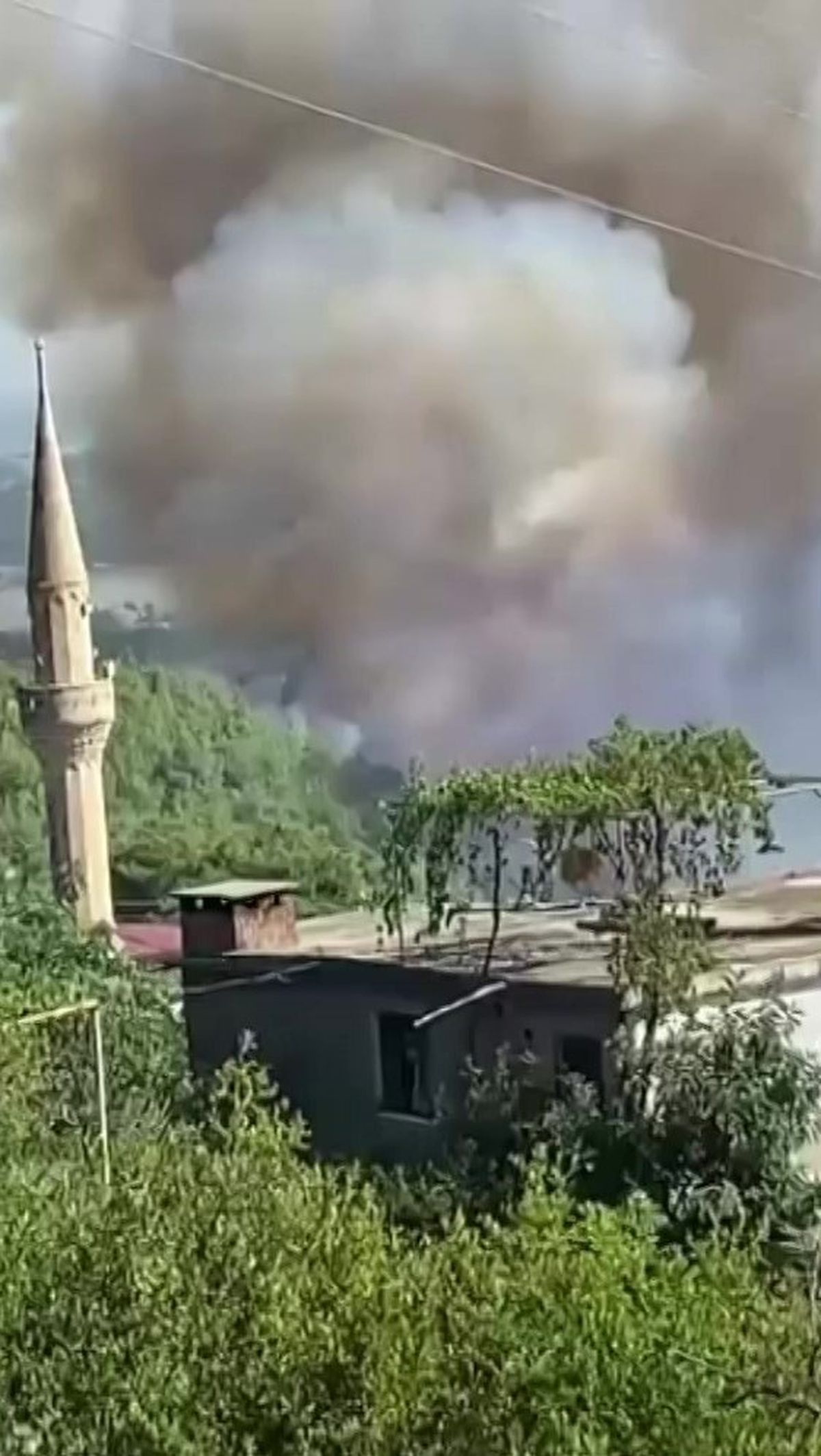 Adana’da orman yangını