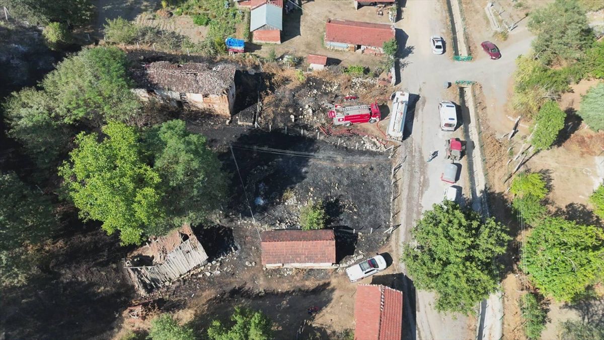 Bilecik'te bahçeden ormana sıçrayan yangın söndürüldü