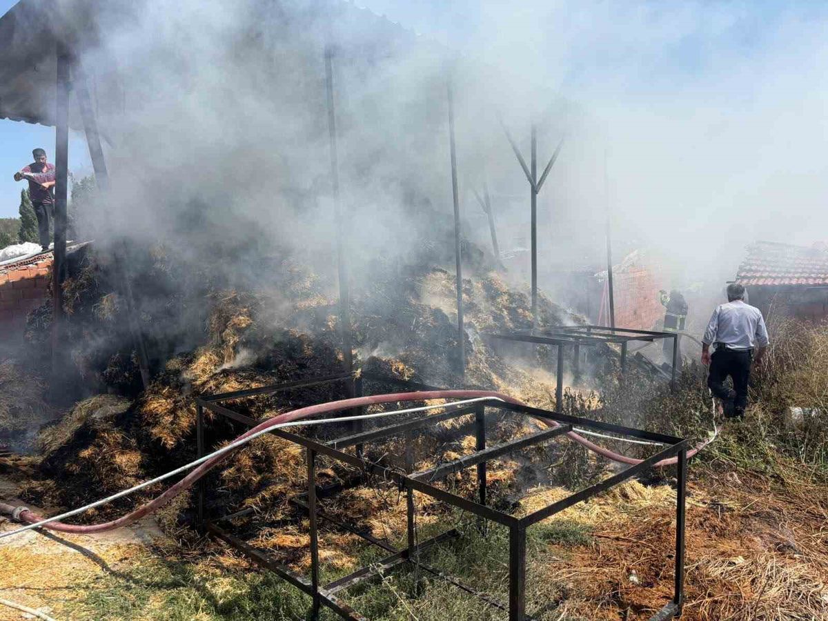 Bozüyük’te İki Köyde Saman Balyası Yangını