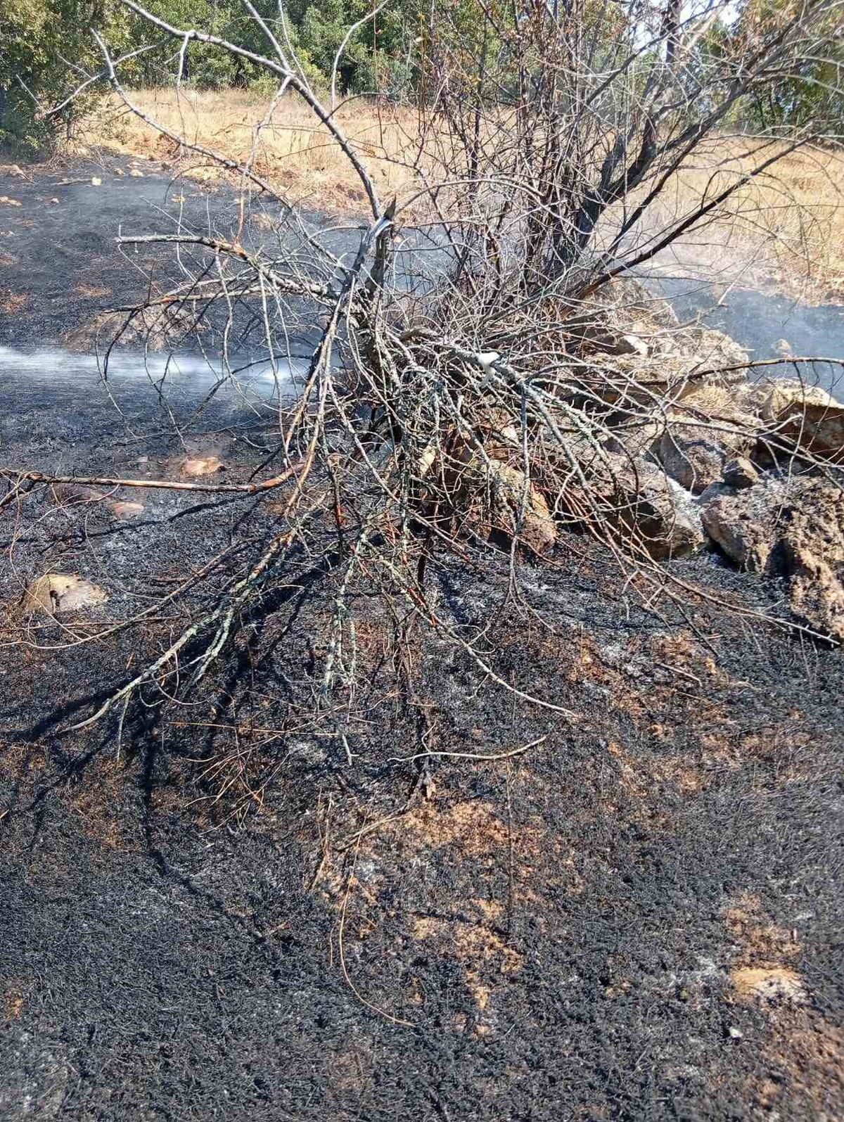 Gölpazarı'nda Ot Yangını Söndürüldü