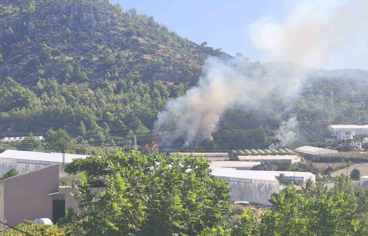 Bozyazı'da Orman Yangını Büyümeden Söndürüldü