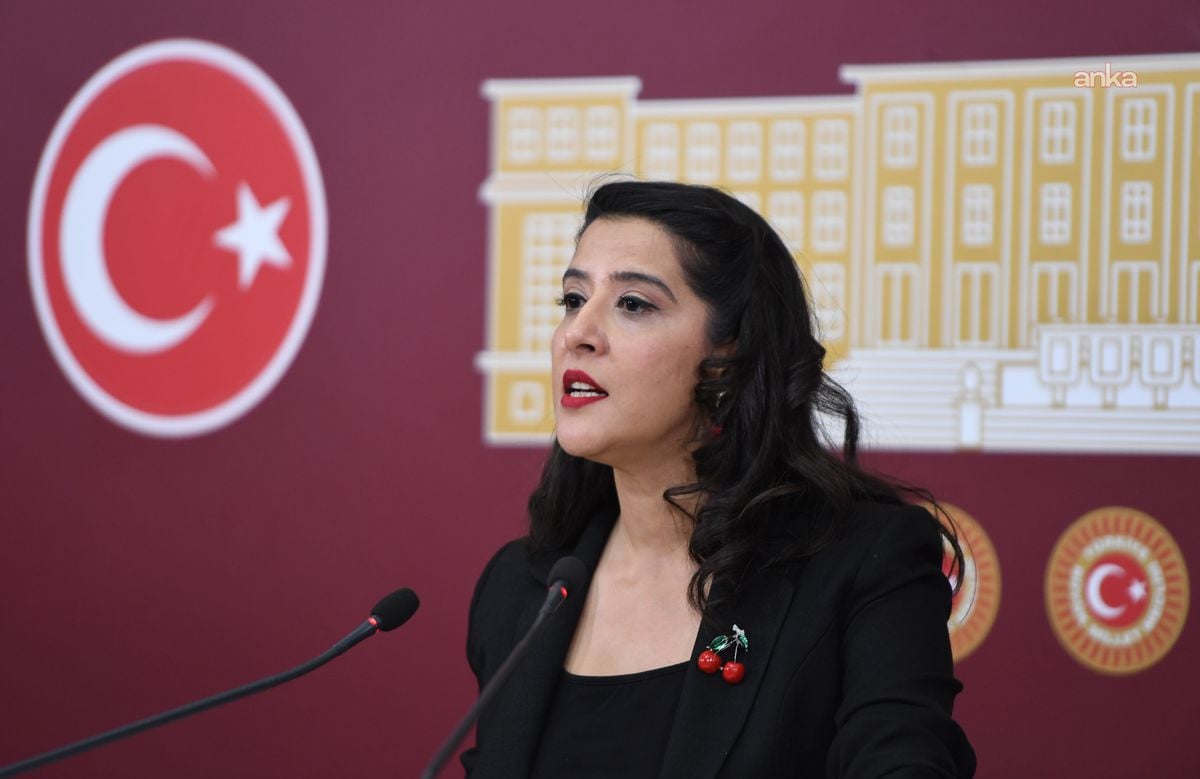 EMEP'li Karaca'dan Ötanazi Talepli Vatandaş İçin TBMM'ye Soru Önergesi