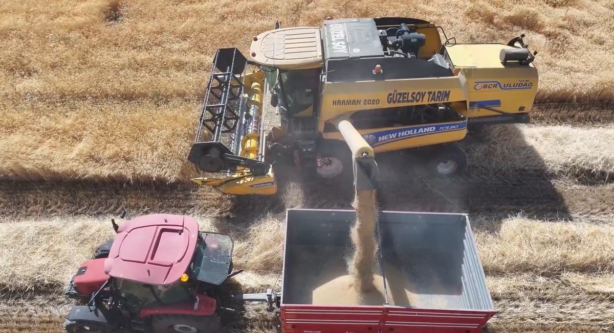 Erzincan'da Baraj Suları Tarımı Bereketlendirdi, Hasat Heyecanı Sürüyor