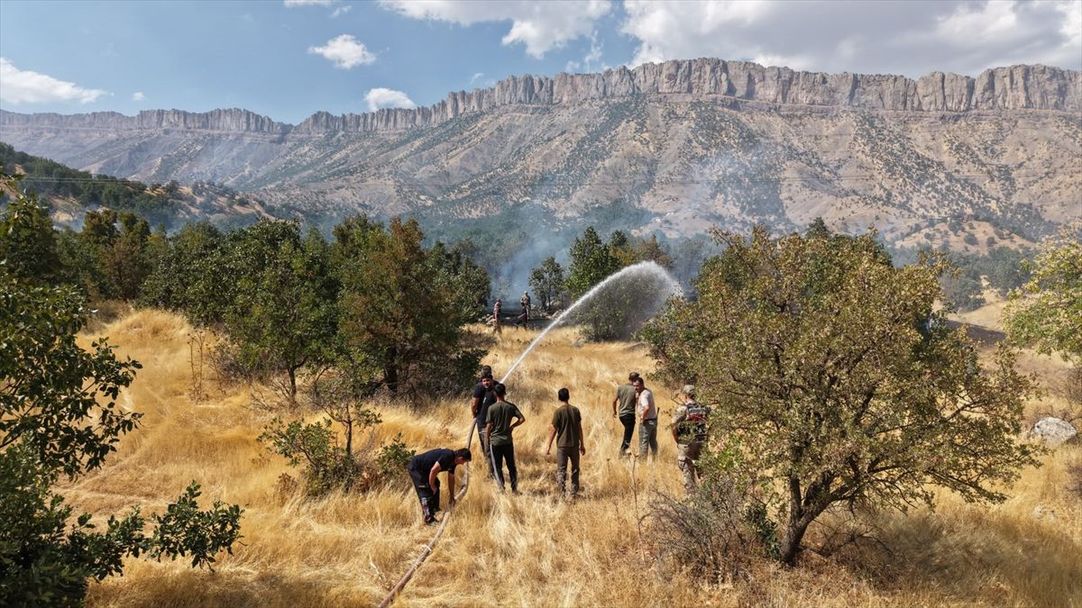 Hakkari'de ormanlık alanda çıkan yangın söndürüldü