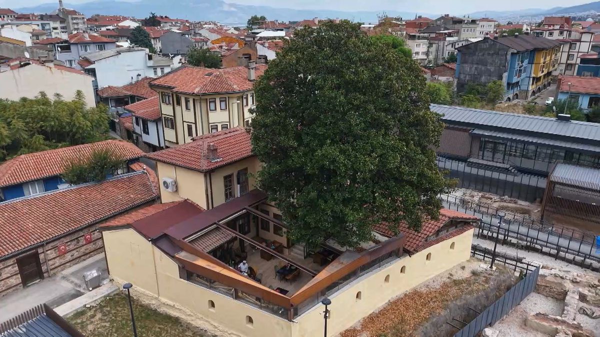 Zeki Müren'in Manolyası 300 Yıldır Yaşıyor