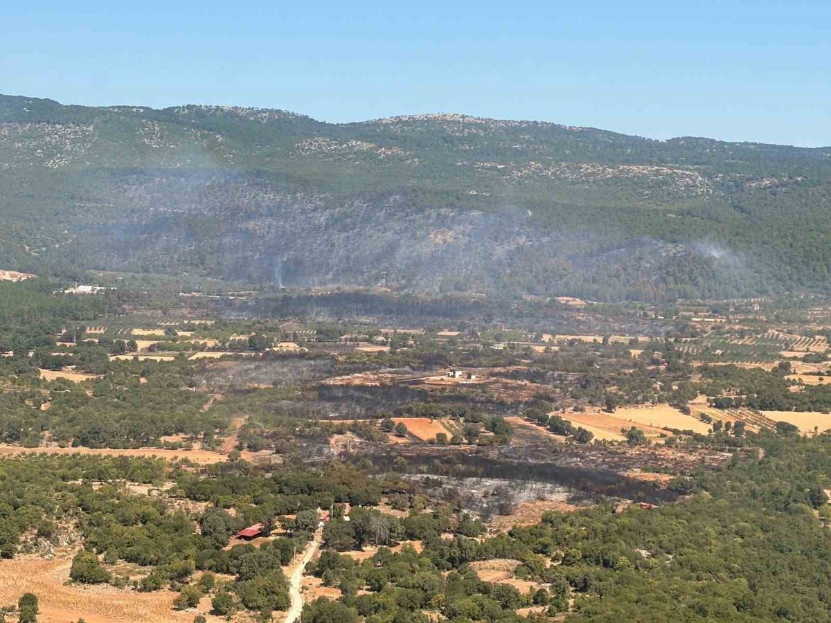Muğla'da orman yangını kontrol altında: 5 sortide 90 saniyede 15 ton su