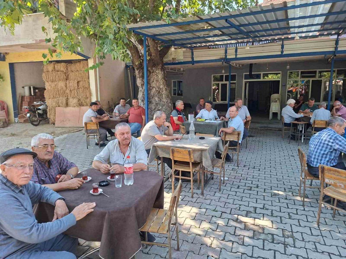 Nazilli'de Üreticilere İncir ve Zeytin Eğitimi