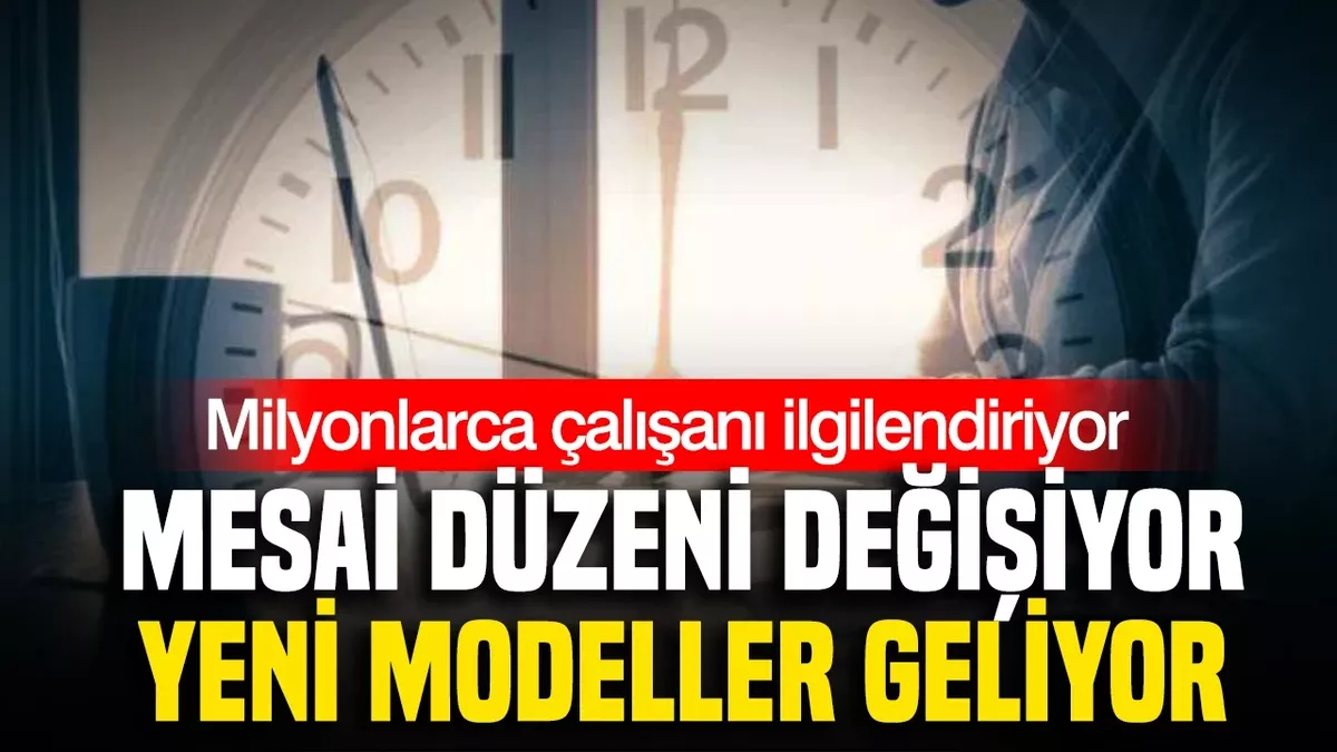 OVP'de esnek çalışma: 'Güvenceli esneklik' uyarısı