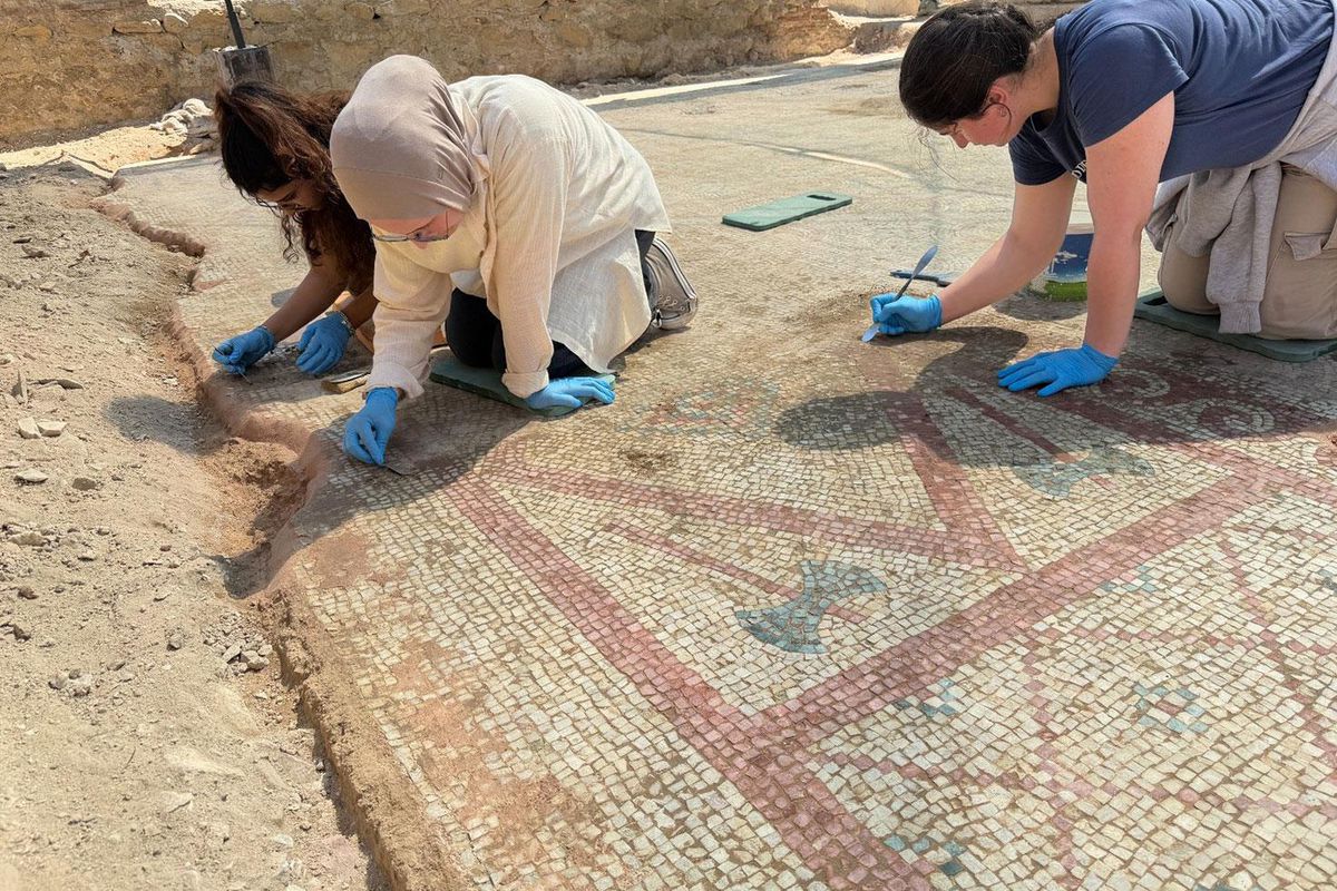 Pompeiopolis Antik kentinde 105 metrekarelik mozaik bulundu