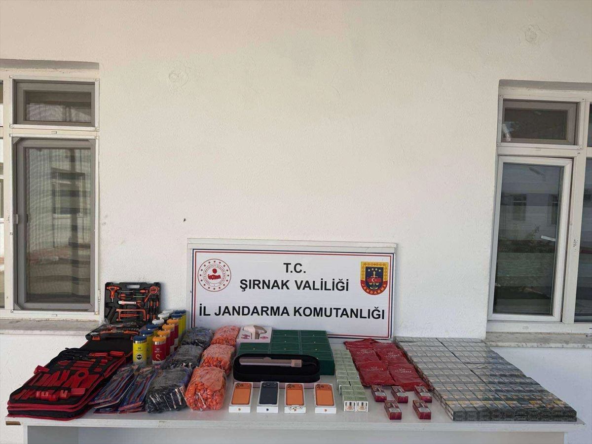 Şırnak'ta kaçakçılık ve asayiş operasyonlarında 196 şüpheli hakkında işlem yapıldı