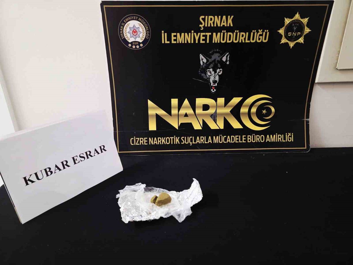 Şırnak’ta narkotik ve asayiş operasyonları