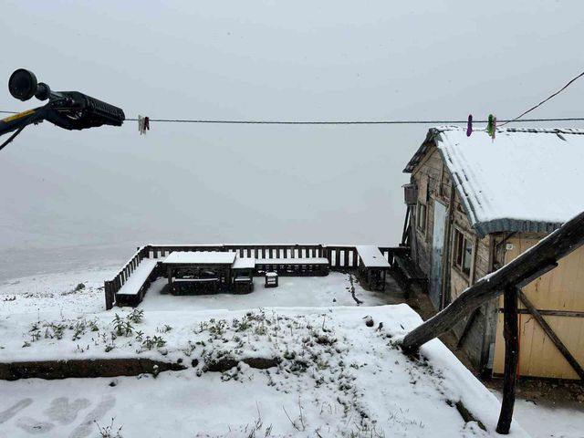 sonbahar mevsiminin ilk kari kackarlar i beya 2 20215625 o