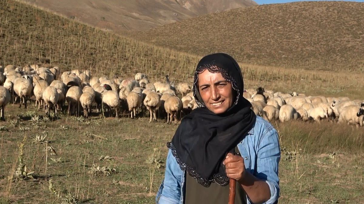 Çobanlıktan Girişimciliğe: Özlem'in Azmi