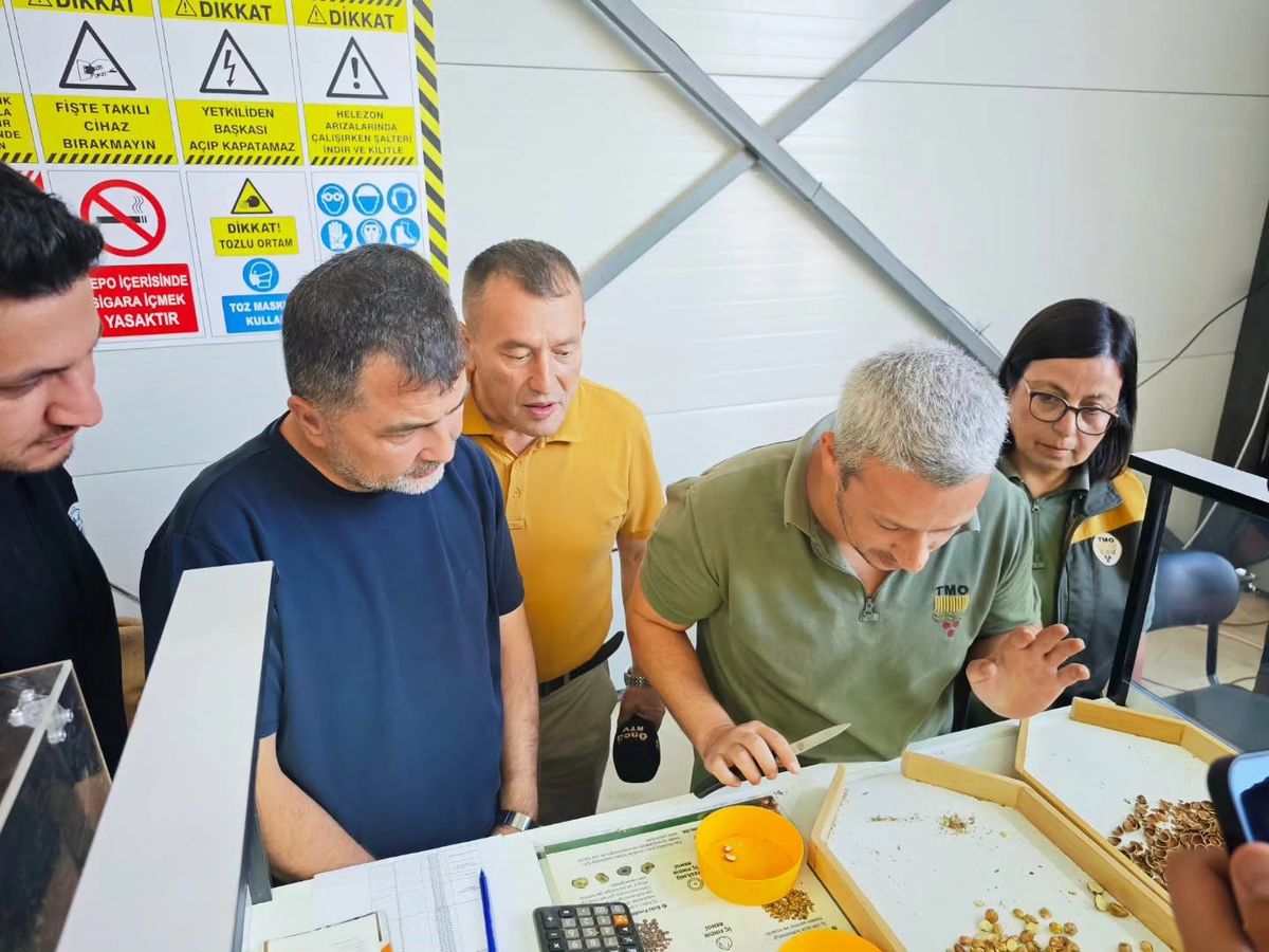 Yığılca TMO fındık alım merkezi açıldı