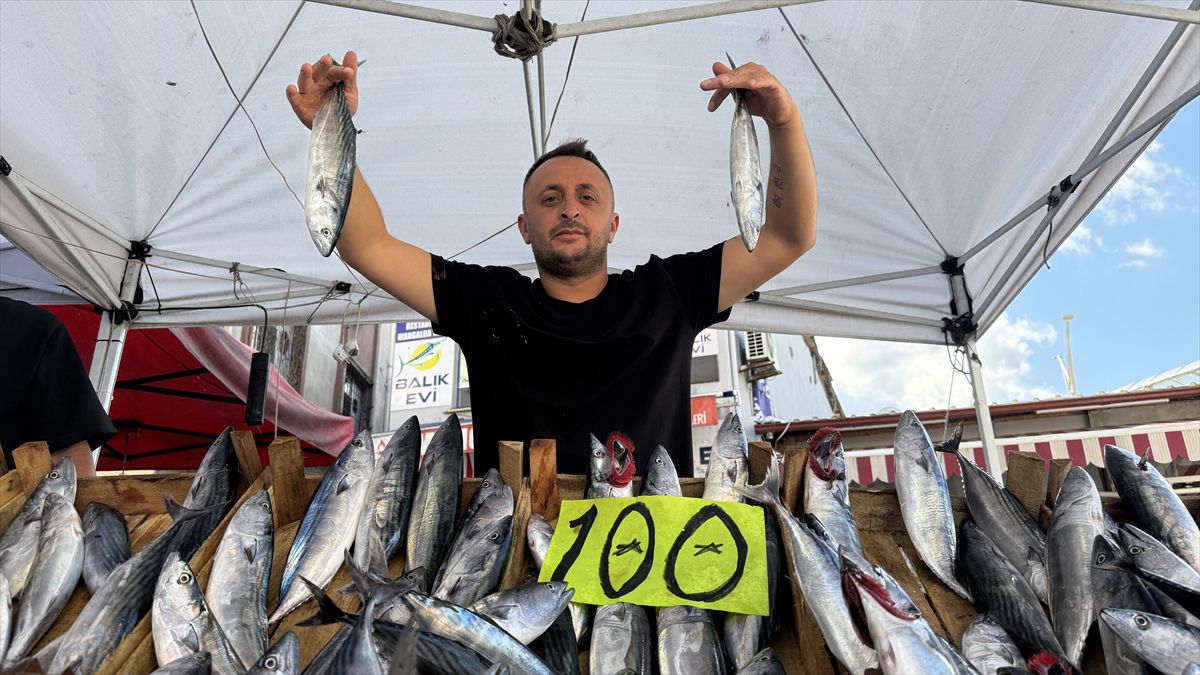 Zonguldak'ta Palamut Bolluğu: Tezgahlar Şenlendi