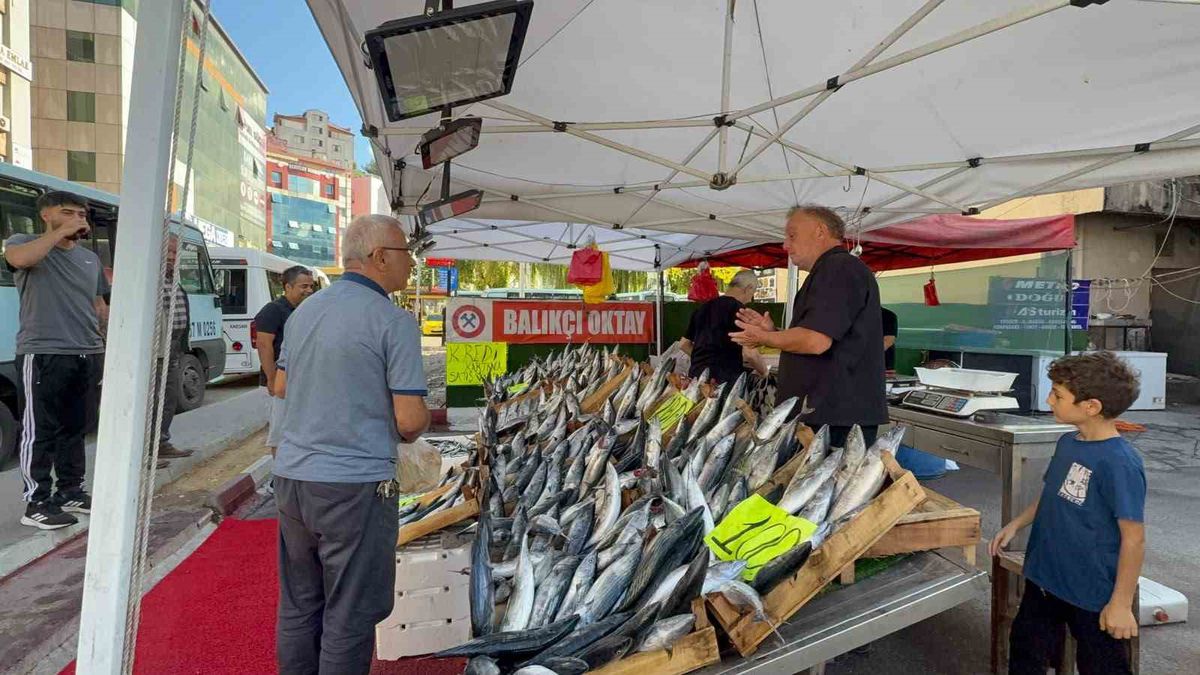 Zonguldak'ta Palamut Bolluğu: 100 Liradan Tezgahta