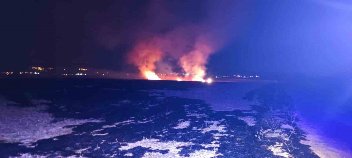 Anız yangını korkuttu