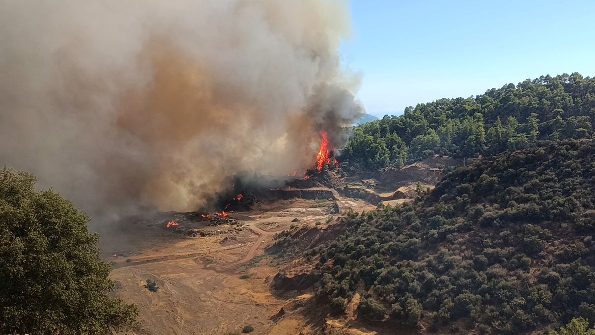 Antalya Kumluca’da orman yangını