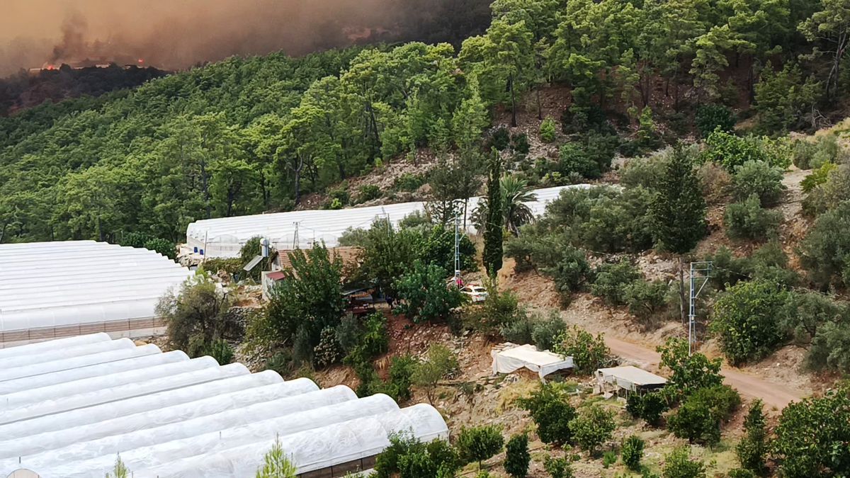 Antalya Kumluca'da orman yangını