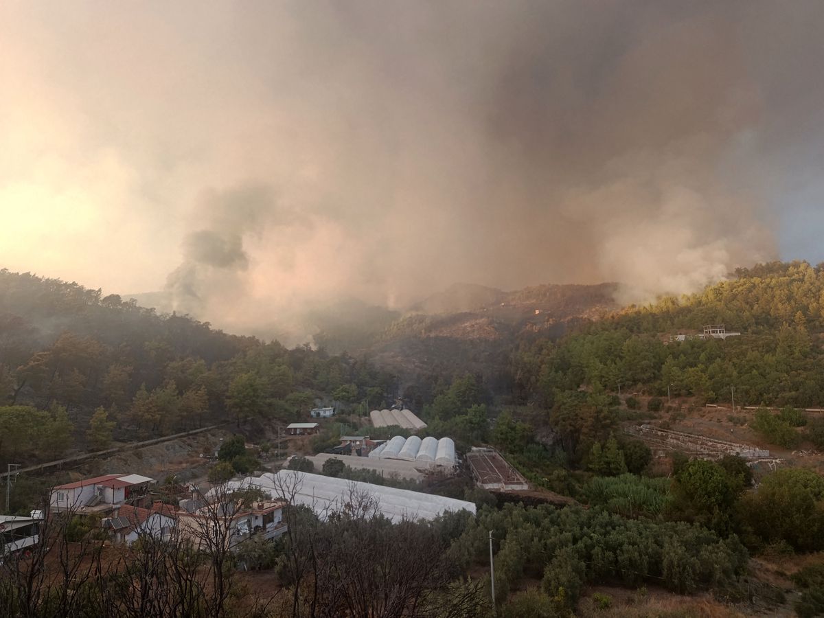 Antalya Kumluca'da orman yangını