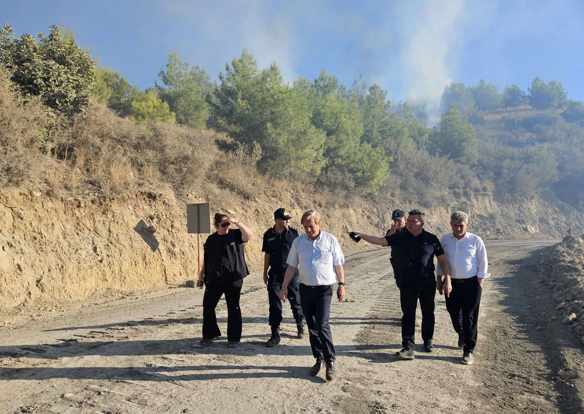 Antalya Serik'teki yangın kontrol altına alındı; 6 ev yandı