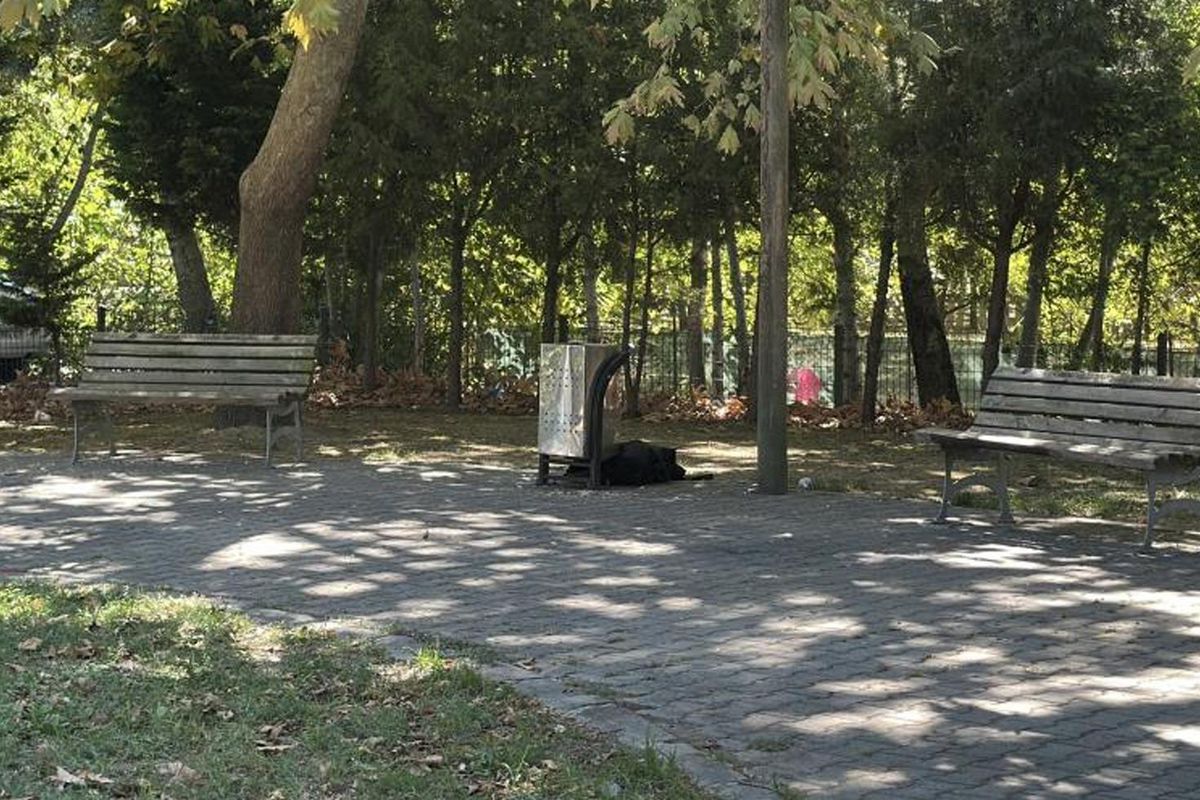 Cami önünde esrarengiz ölüm