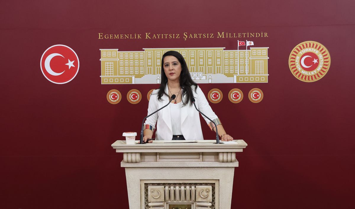 EMEP'li Karaca, karma eğitime karşı yürütülen kampanyaları TBMM gündemine taşıdı