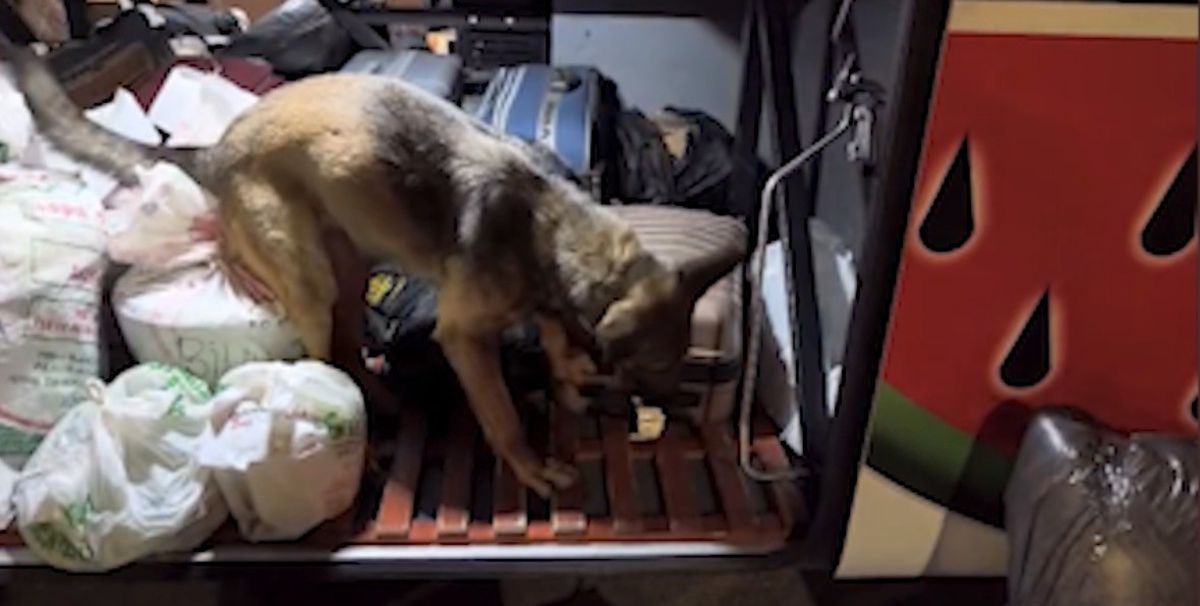 Kayseri’de yolcu otobüsü operasyonu: 3 kilo 420 gram uyuşturucuyla yakalanan 2 şüpheli tutuklandı