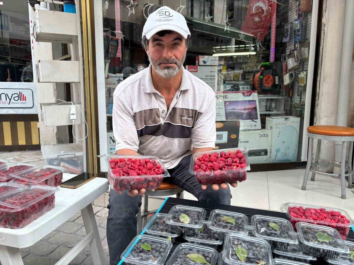Kıraç arazileri aronya ve ahududugil yetiştirerek değerlendirdi