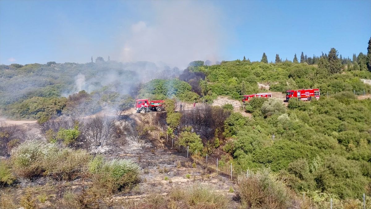 Kocaeli'de araçta başlayıp ormana sıçrayan yangın kontrol altına alındı