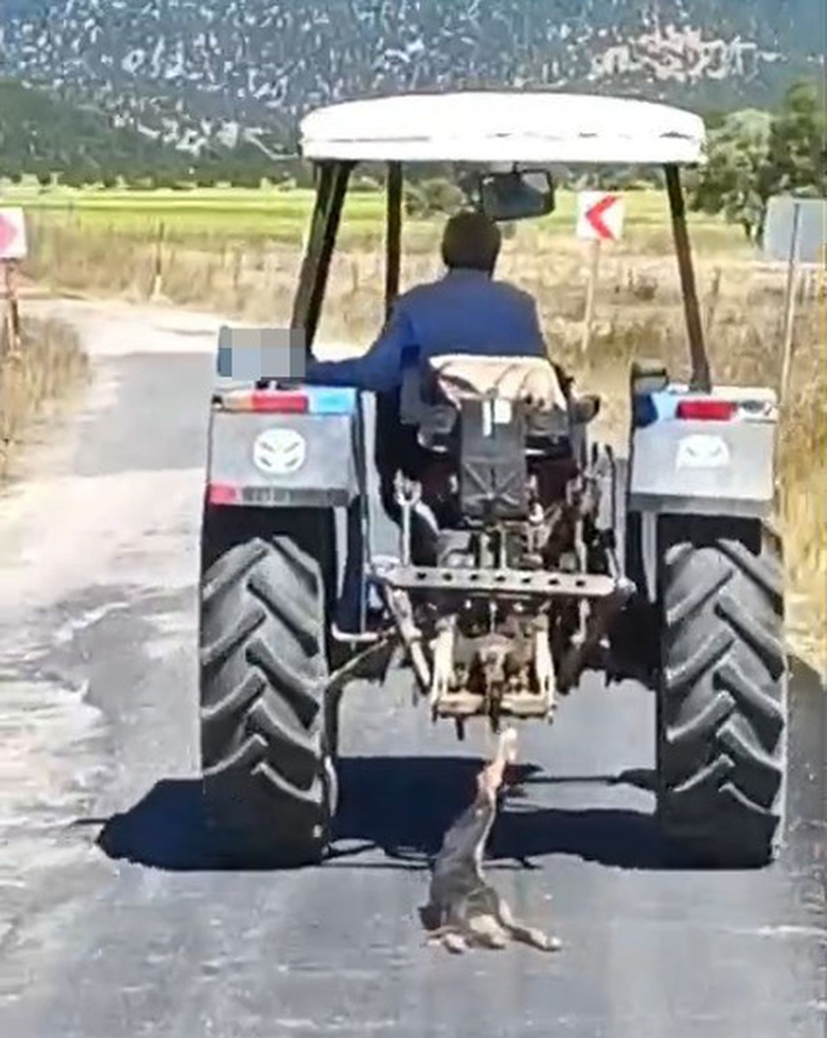 Köpeği traktöre bağlayarak sürükledi