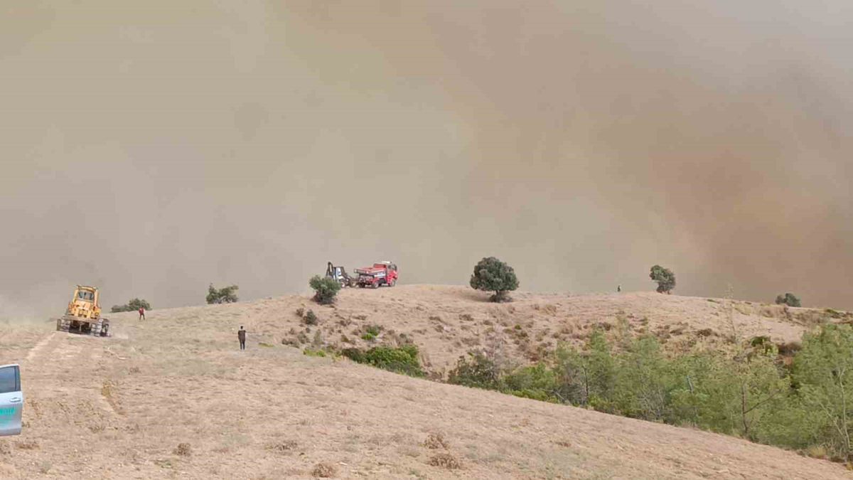 Kozan’da orman yangını: 5 helikopter, 2 uçakla mücadele sürüyor