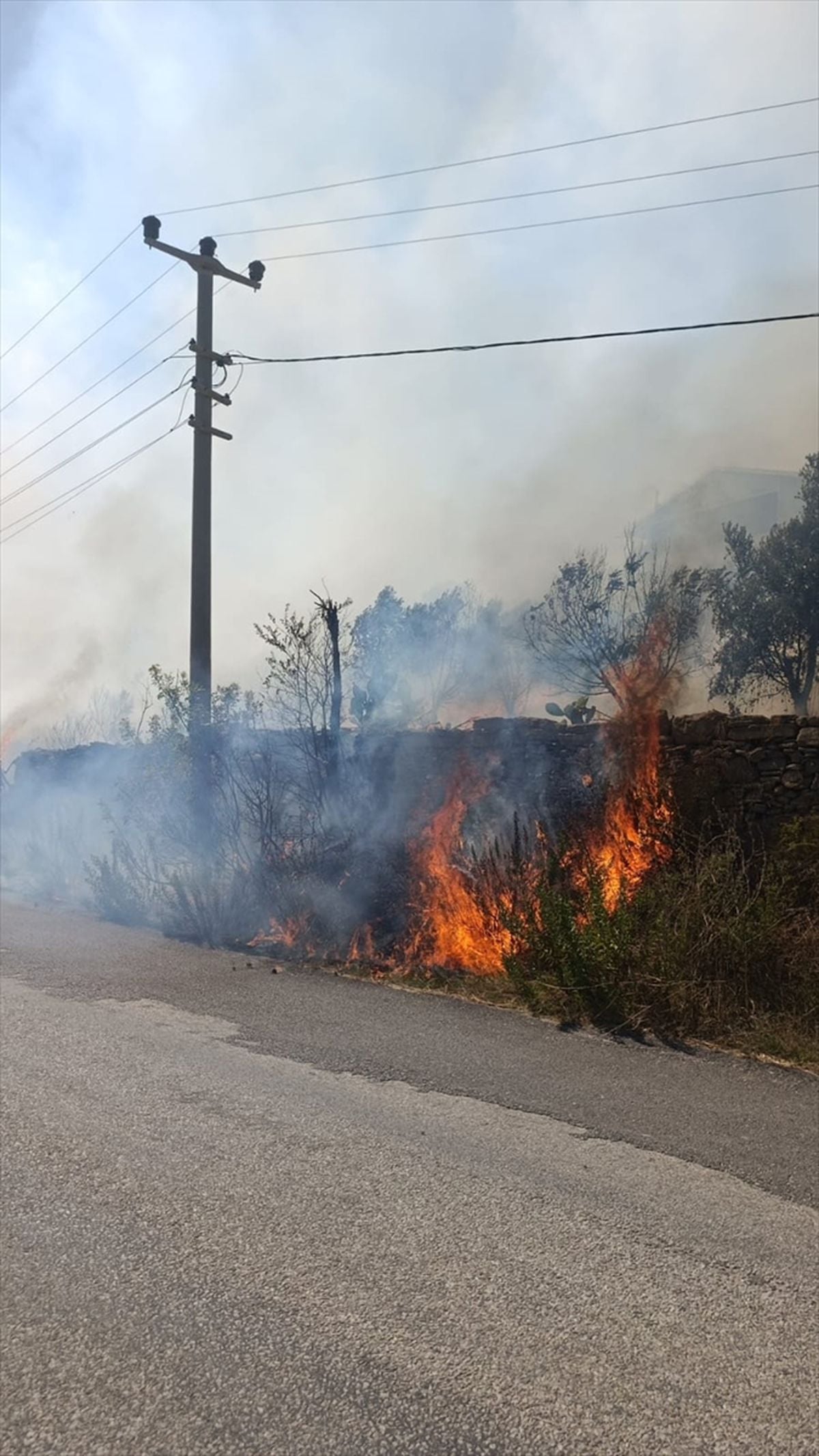 Manavgat'ta zirai alanda çıkan yangın söndürüldü