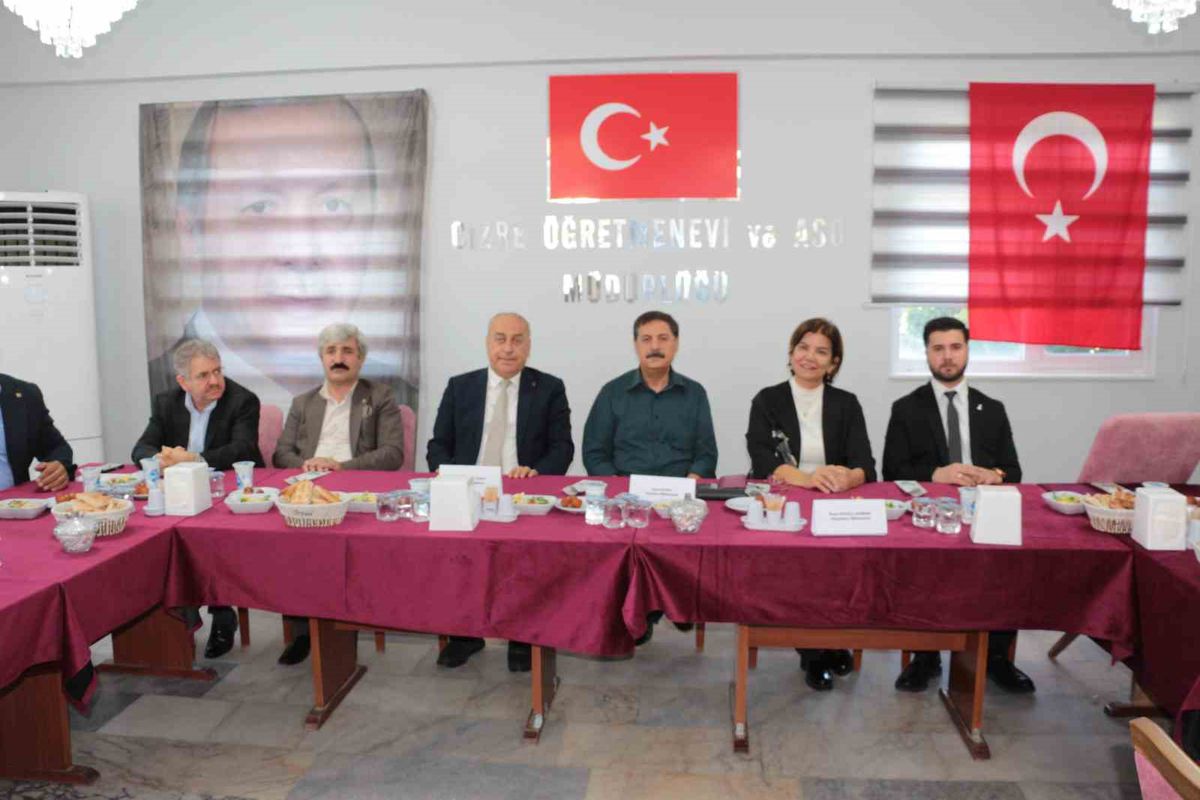 Milletvekili Ataman Cizre’den seslendi: 'İnadına kardeşlik diyeceğiz'