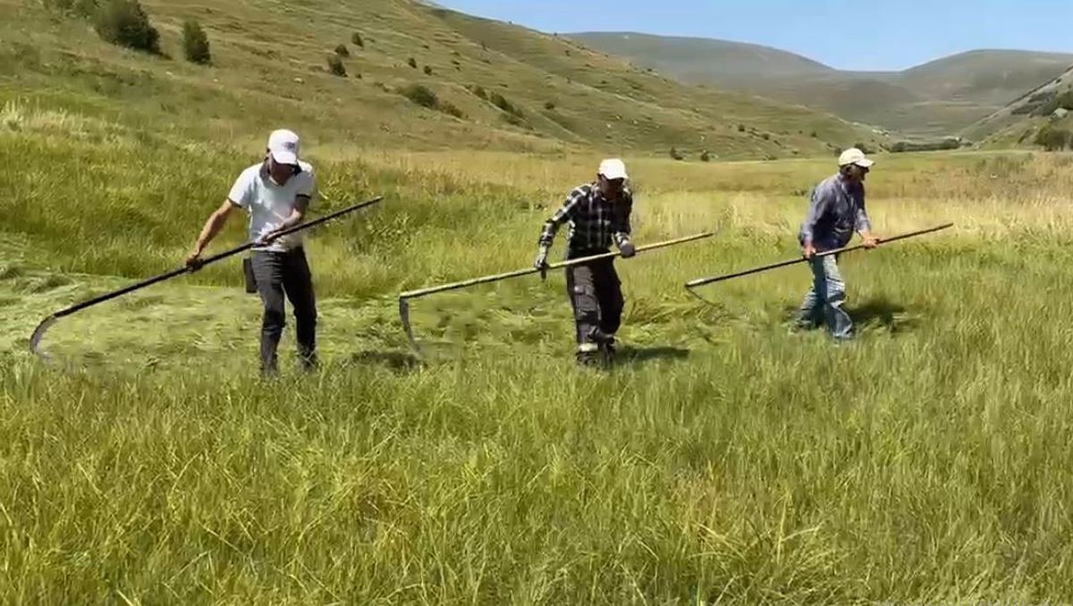 Sağanak yağışlar tarımsal çalışmaları vurdu: Çiftçinin işi bir ay geriye kaldı