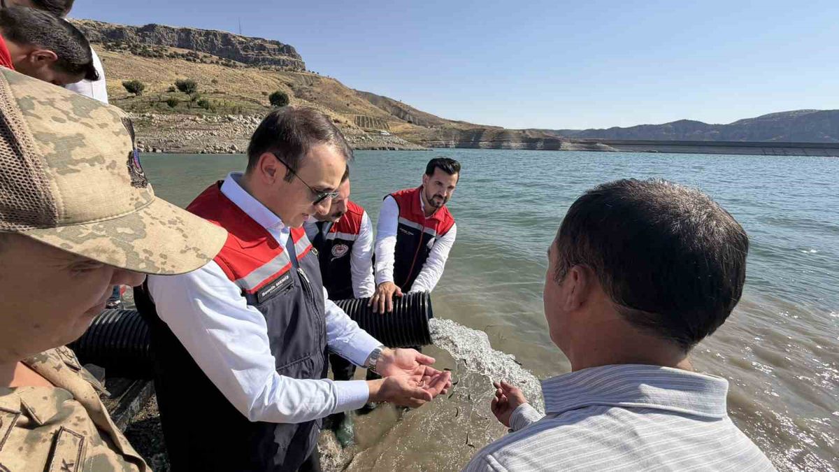 Şırnak’ta Ilısu Baraj Gölü’ne 800 bin yavru şabut balığı bırakıldı