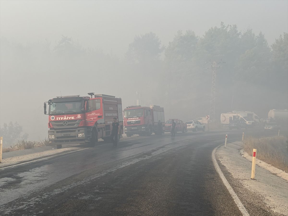 Antalya'nın Kumluca ilçesindeki orman yangınına müdahale sürüyor