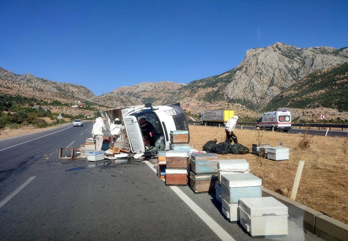Bitlis'te devrilen arı kovanı yüklü kamyonetteki 3 kişi yaralandı