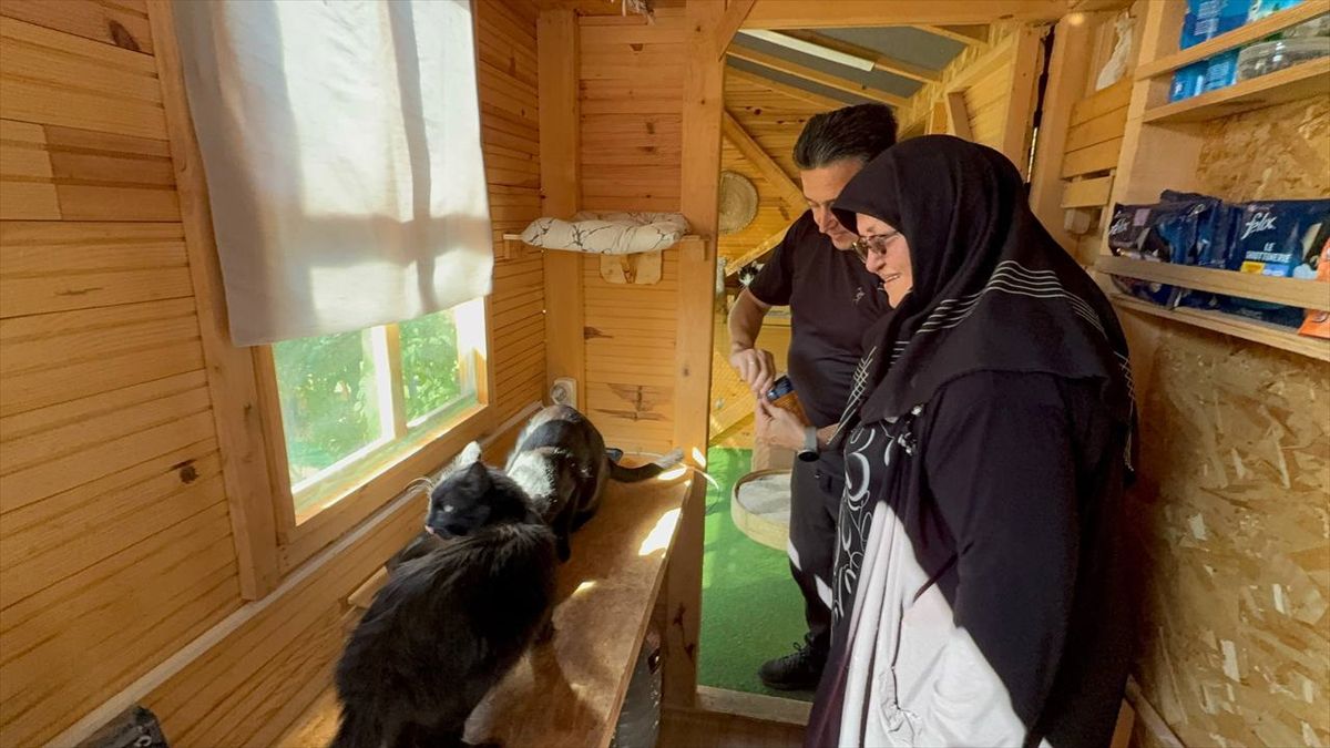 El emeği ürünlerinin kazancından bir kısmını sahipsiz hayvanlar için harcıyor