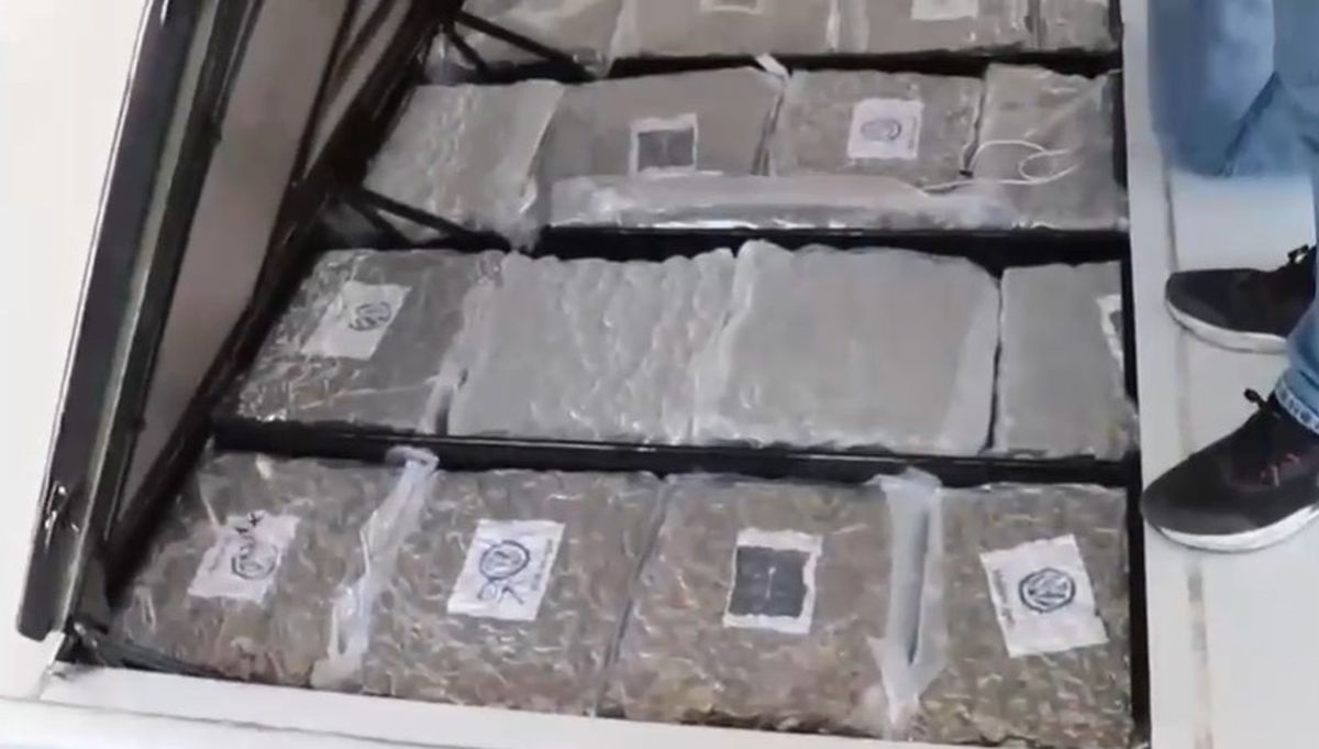 Gümrük Muhafaza ekiplerinden uyuşturucu kaçakçılığına darbe: 387 kilo skunk ele geçirildi